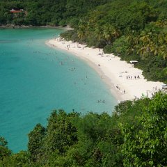 2. Trunk Bay